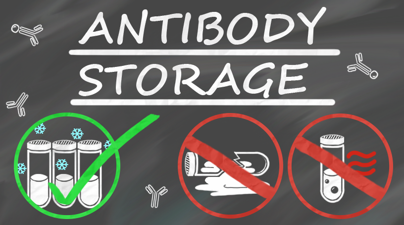 Antibody storage and antibody information