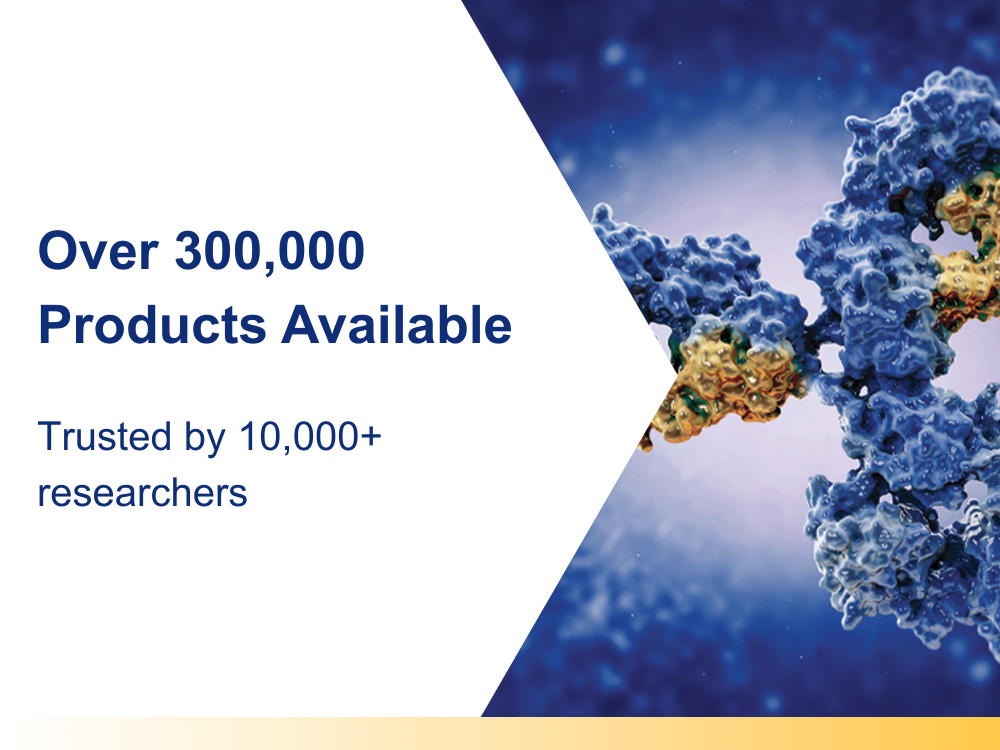 Over 300,000 Products