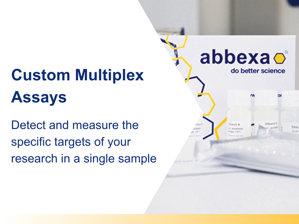 Custom Multiplex Assay