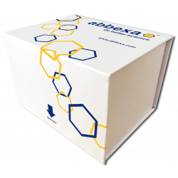 Advanced Glycation End Product (AGE) ELISA Kit