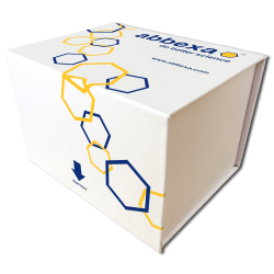 Human Interferon Lambda-1 (IFNL1) ELISA Kit