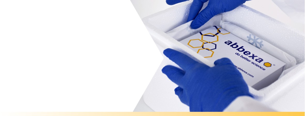 15% off ELISA kits, CLIA kits and Antibodies