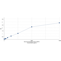Graph showing standard OD data for Rat Tumor Necrosis Factor Ligand Superfamily Member 13B / BAFF (TNFSF13B) 