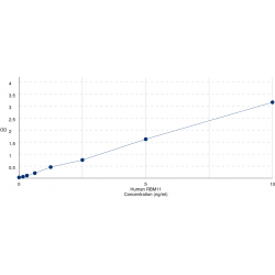 Graph showing standard OD data for Human RNA Binding Motif Protein 11 (RBM11) 