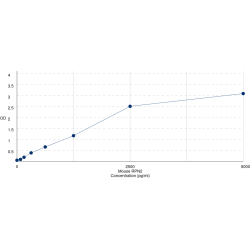 Graph showing standard OD data for Mouse Dolichyl-diphosphooligosaccharide--protein glycosyltransferase subunit 2 (RPN2) 