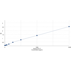 Graph showing standard OD data for Human Thymus Activation Regulated Chemokine / TARC (CCL17) 