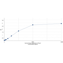Graph showing standard OD data for Human Kinase suppressor of Ras 2 (KSR2) 