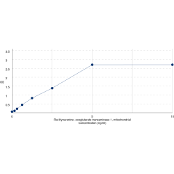 Graph showing standard OD data for Rat Cysteine-S-Conjugate Beta-Lyase (CCBL1) 