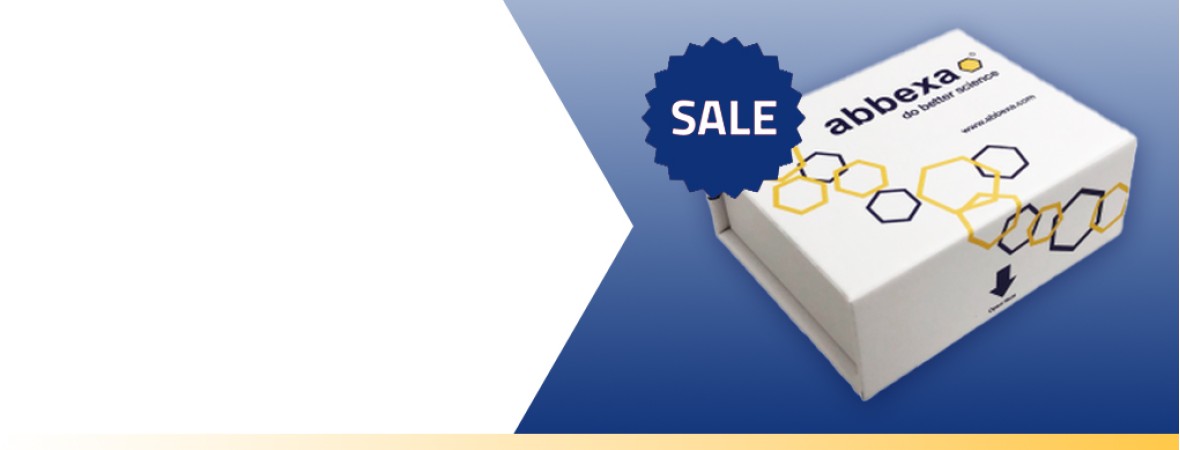 25% off Rapid Test Promotion