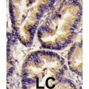 abx025109