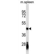 abx025316