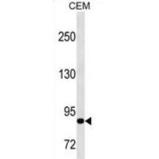 abx025348