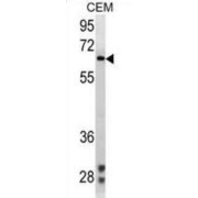 abx025459