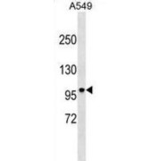 abx025479