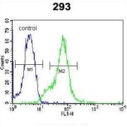 Galectin-9B (LGALS9B) Antibody