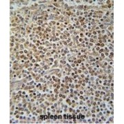 abx025740
