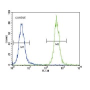 Coiled-Coil Domain-Containing Protein 85C (CC85C) Antibody