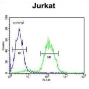 Hematopoietic Progenitor Cell Antigen CD34 (CD34) Antibody