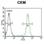 HIST1H2BJ Antibody