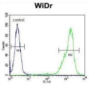 Zinc Finger Protein 180 (ZN180) Antibody