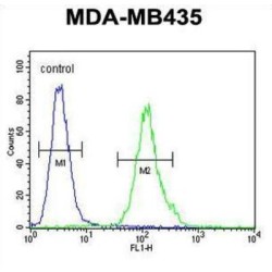 M4A4A Antibody