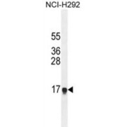 abx025948