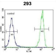 Olfactory Receptor Family 10 Subfamily H Member 1 (OR10H1) Antibody