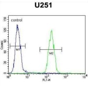 abx025977