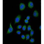 abx025999