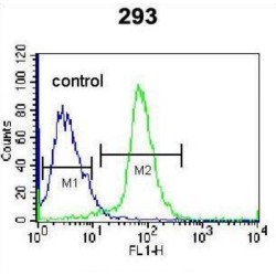 Epigen (EPGN) Antibody