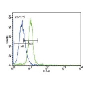 Tyrosine-Protein Kinase JAK2 (JAK2) Antibody