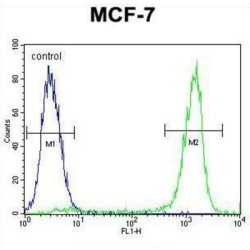 Zinc Finger Protein 829 (ZNF829) Antibody