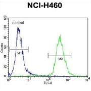 Zinc Finger Protein 433 (ZNF433) Antibody