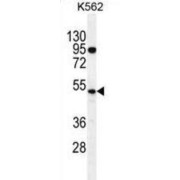abx026325