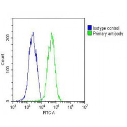 DNA-Binding Protein Inhibitor ID-1 (ID1) Antibody