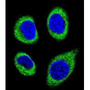 abx026443