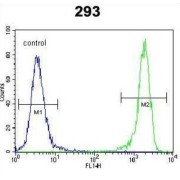 DNA Damage Inducible Transcript 3 (DDIT3) Antibody