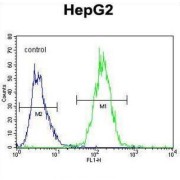 Retinol Dehydrogenase 13 (RDH13) Antibody