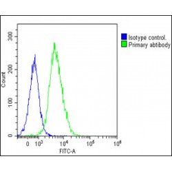 T-Cell Receptor Beta Chain V Region CTL-L17 / TCRB (TRBV7-9) Antibody