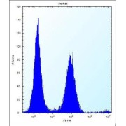 Prosaposin-Like 1 (PSAPL1) Antibody