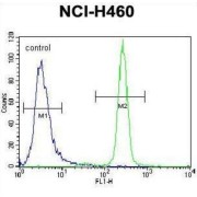 Interleukin 6 (IL6) Antibody