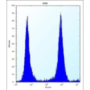 Proto-Oncogene DBL (MCF2) Antibody