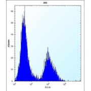 Claudin 2 (CLDN2) Antibody