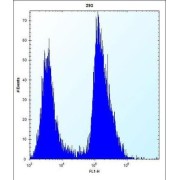 Thyroid Hormone Receptor Interactor 13 (TRIP13) Antibody