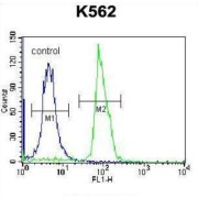 Semaphorin 4C (SEMA4C) Antibody