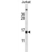 abx027629