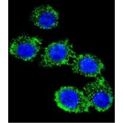 abx028315