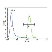 T-Cell Surface Glycoprotein CD4 (CD4) Antibody