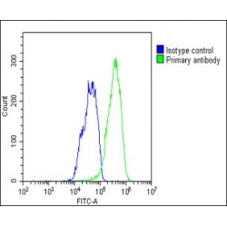 Selenoprotein P / SEPP1 (SELENOP) Antibody