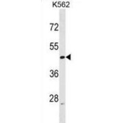 abx029211